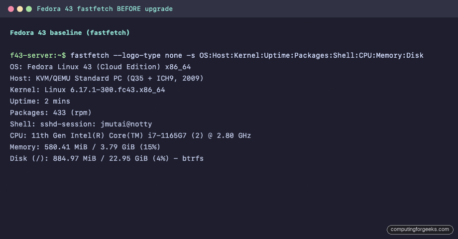 Fastfetch output showing Fedora 43 with kernel 6.17 before upgrade