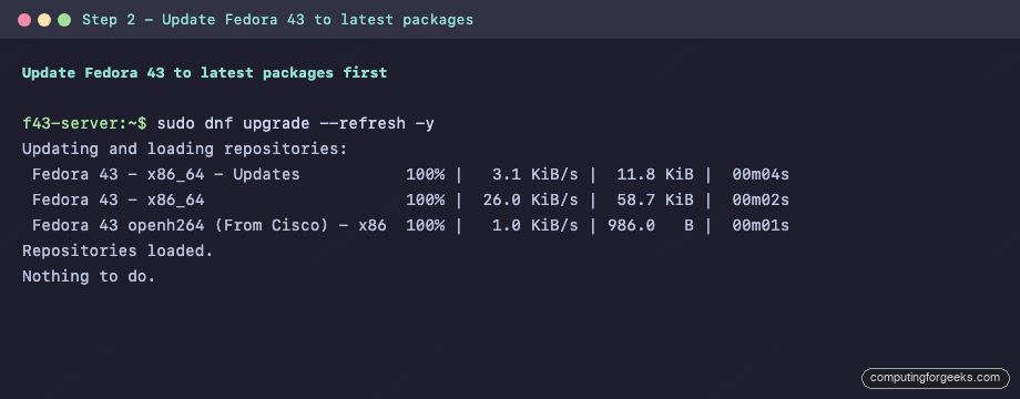 Update Fedora 43 to latest packages with dnf upgrade refresh