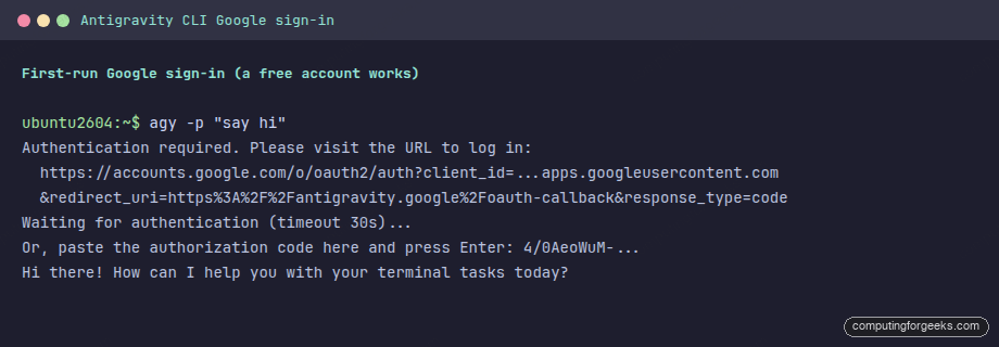 Antigravity CLI first-run Google account sign-in on a free account