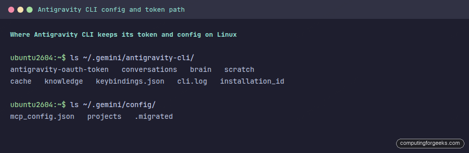 Antigravity CLI OAuth token and config files under the gemini directory on Linux