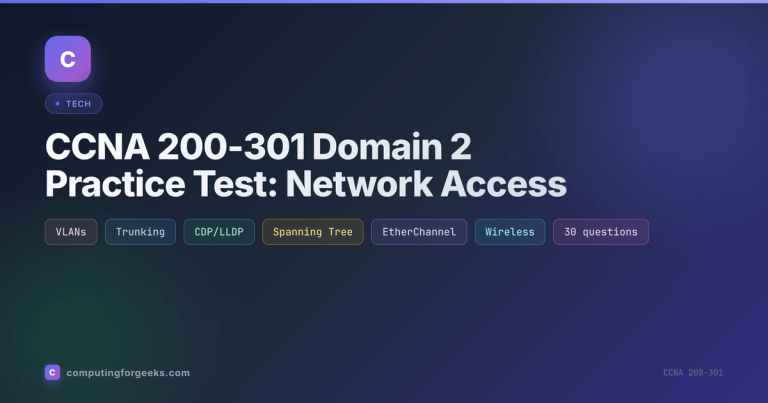 CCNA 200-301 Domain 2 Practice Test: Network Access