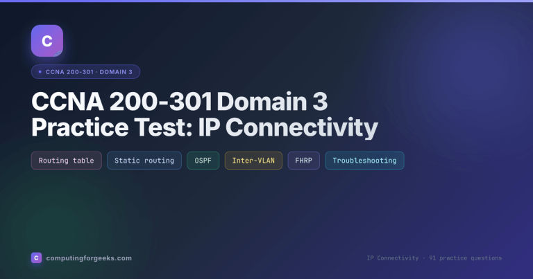 CCNA 200-301 Domain 3 IP Connectivity practice test
