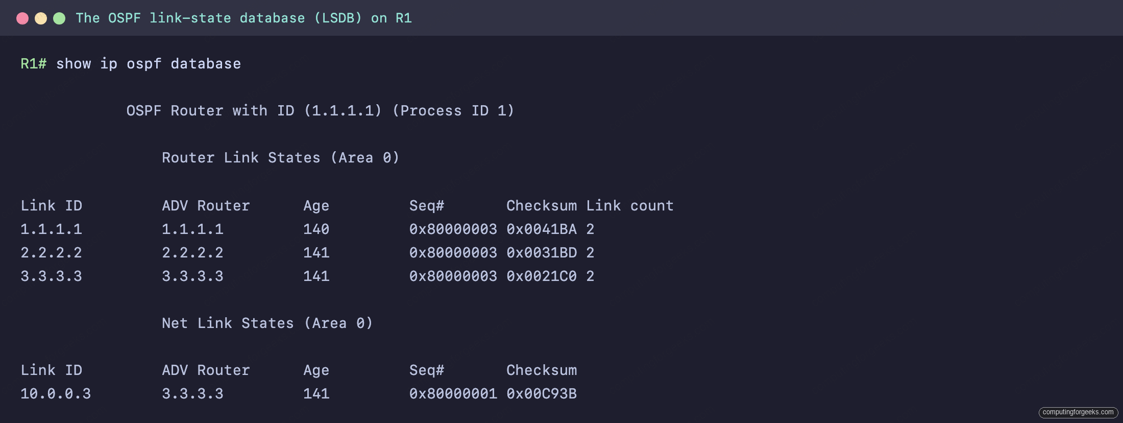 show ip ospf database showing three router LSAs and a network LSA originated by the DR