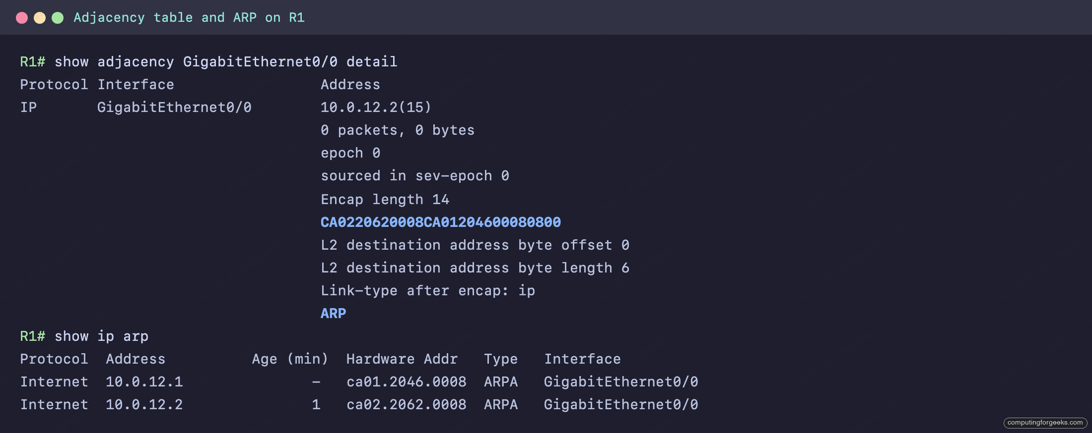 Adjacency detail showing the Encap length 14 rewrite string decoded against the ARP table