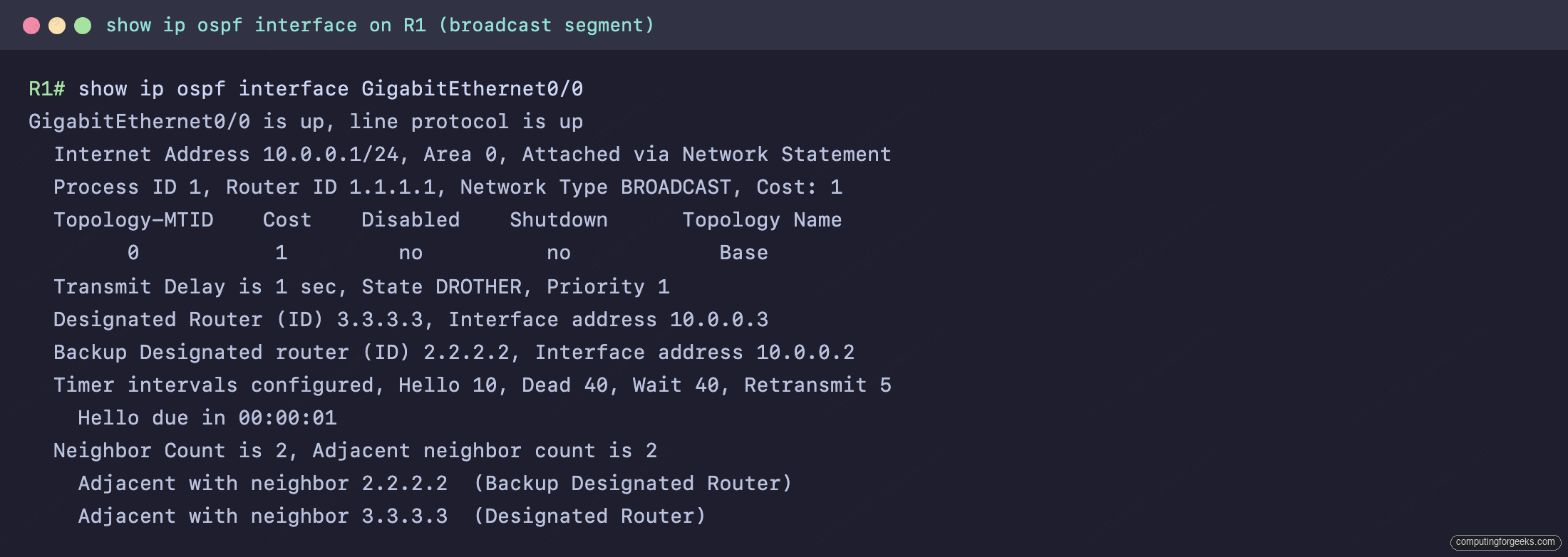 show ip ospf interface output showing BROADCAST network type, cost, DR, BDR, and Hello/Dead timers