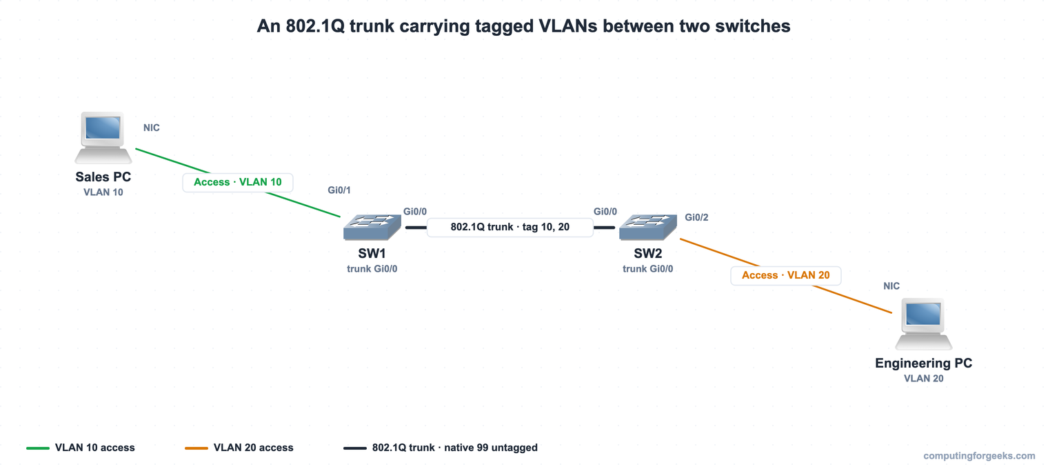 Topology of an 802.1Q trunk carrying VLAN 10 and VLAN 20 tagged between SW1 and SW2 with native VLAN 99