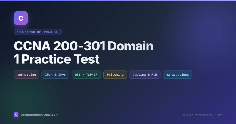 CCNA 200-301 Domain 1 Practice Test: Network Fundamentals