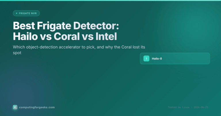 Best Frigate Detector: Hailo vs Coral vs Intel NPU