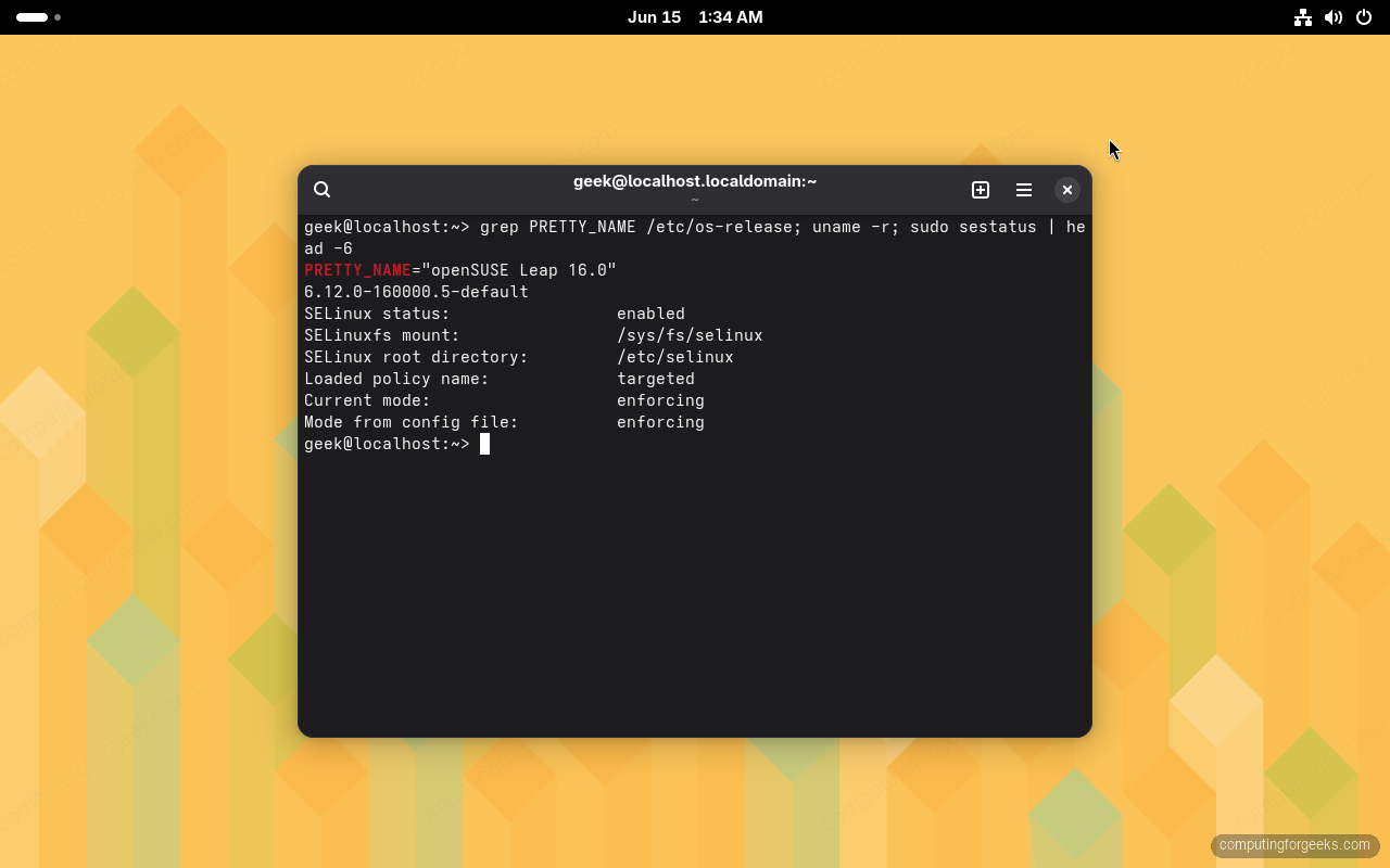 Install openSUSE Leap 16 Step-by-Step with Screenshots 11 openSUSE Leap 16 terminal showing version, kernel and SELinux enforcing status