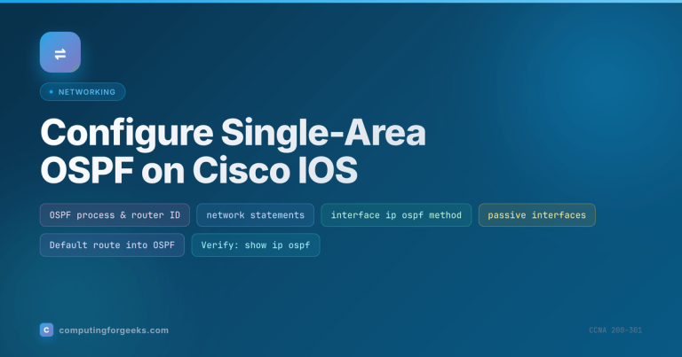 Configure single-area OSPF on Cisco IOS: process, methods, passive interfaces, default route, verification
