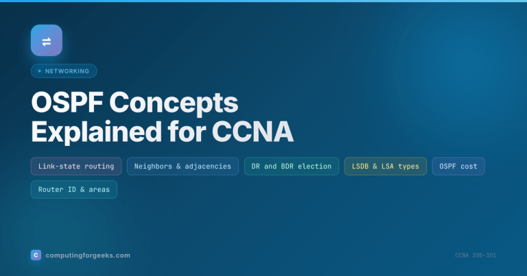 OSPF Concepts Explained for CCNA: DR/BDR and LSDB
