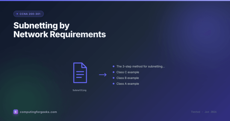 How to Subnet: A Step-by-Step Guide to Subnetting by Network Requirements