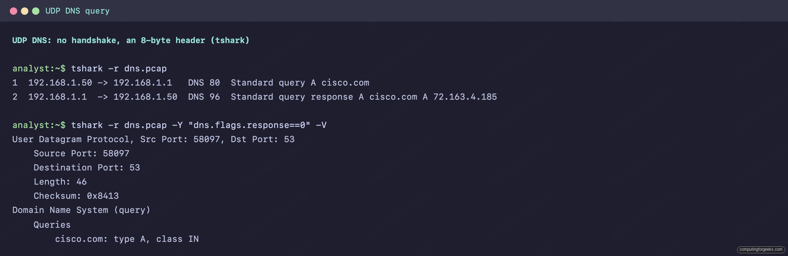 tshark UDP DNS query and response showing the 8-byte UDP header with no handshake