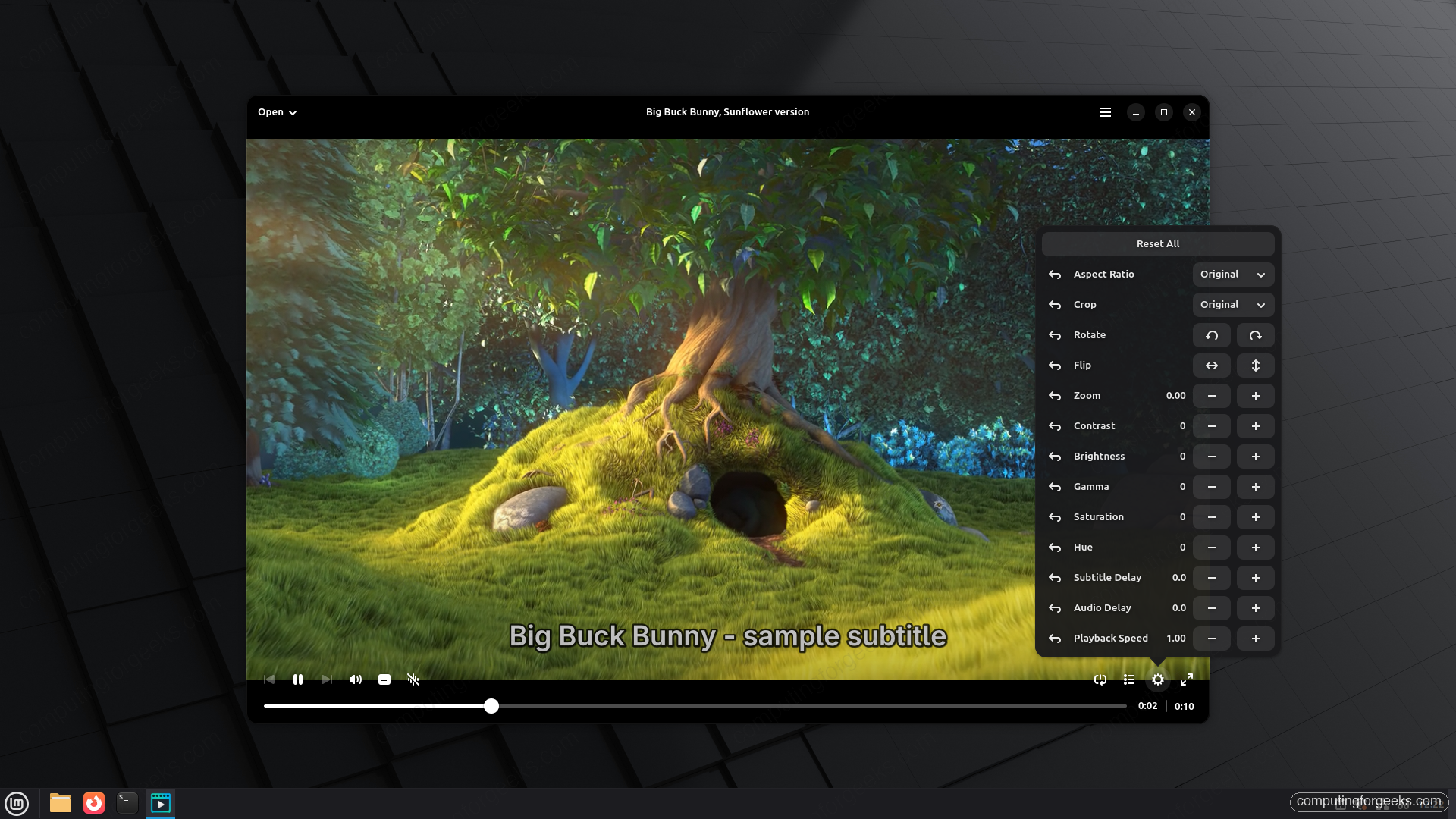 Cine video player options panel showing brightness, contrast, zoom, aspect ratio, and audio delay