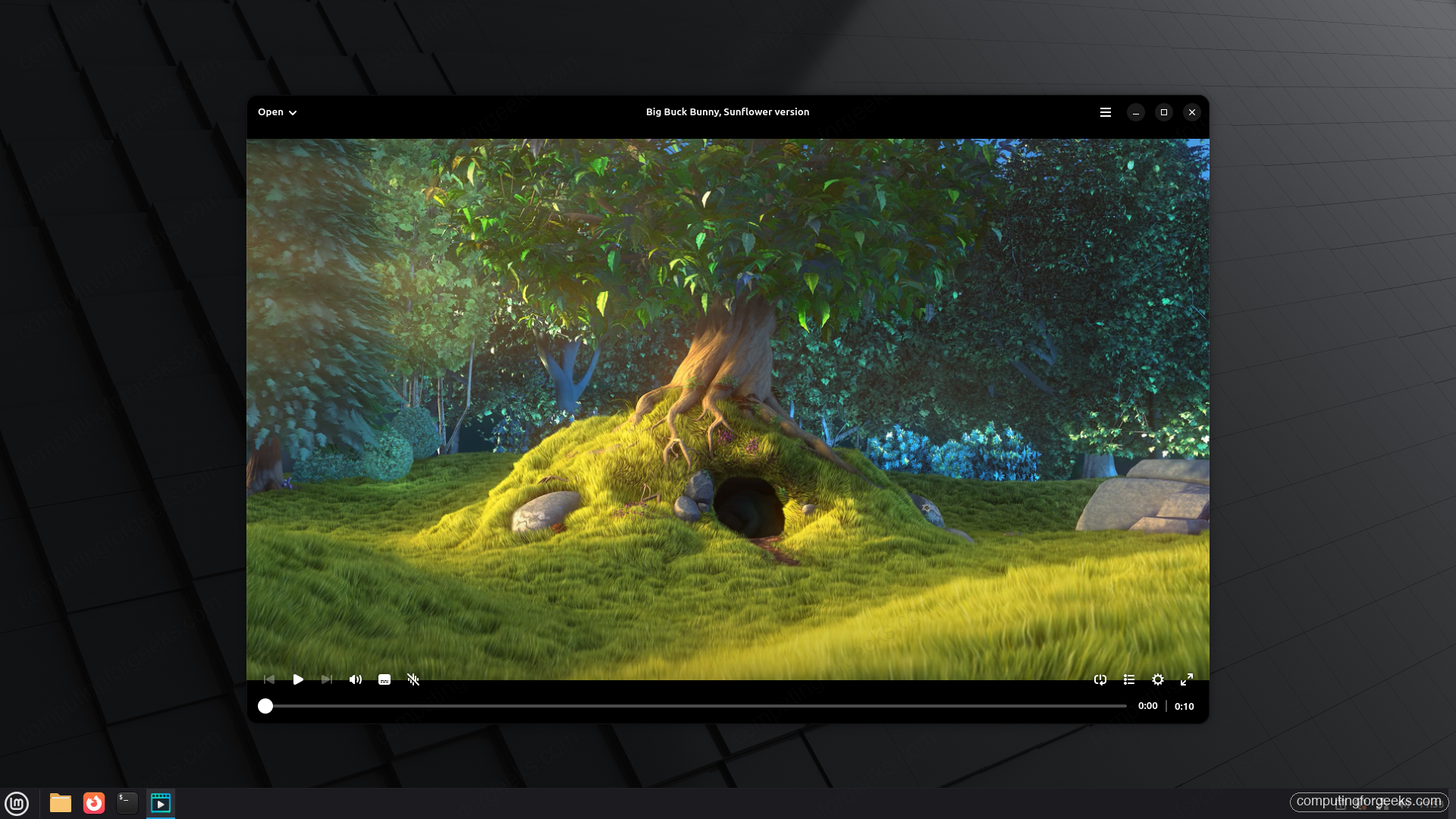 Cine video player playing a video on Linux with the bottom control bar visible
