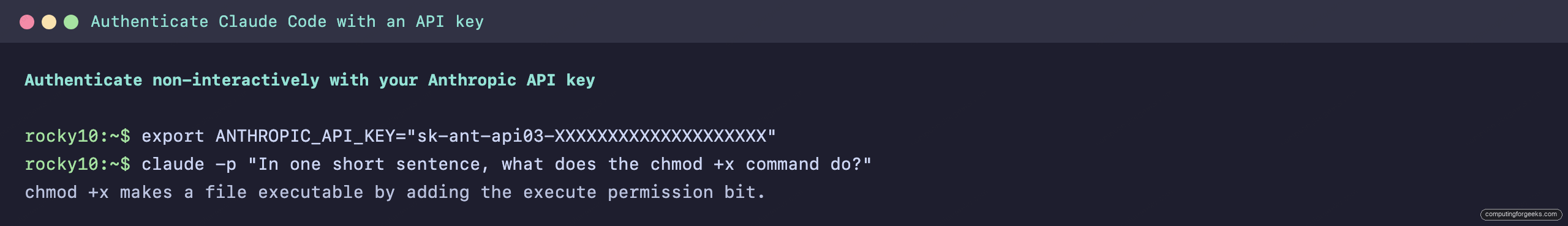 Claude Code CLI authenticated with the ANTHROPIC_API_KEY environment variable answering a prompt