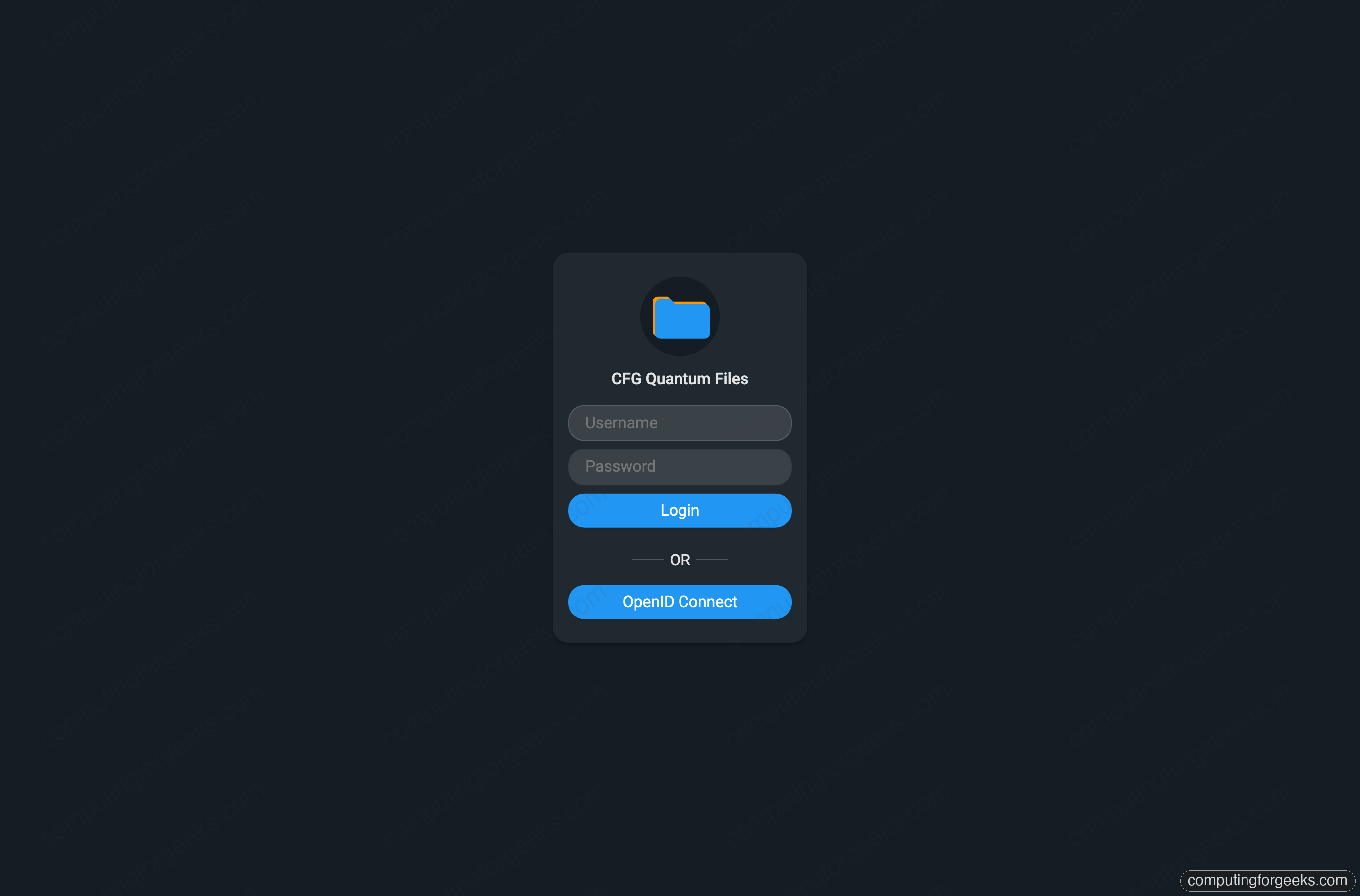 FileBrowser Quantum: OIDC, LDAP and Multi-Source File Manager 1 FileBrowser Quantum login page with password fields and OpenID Connect button