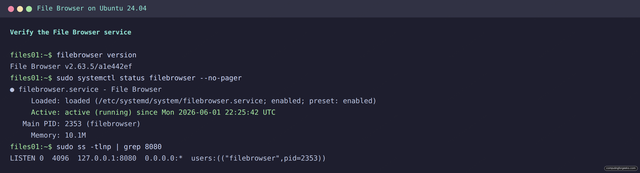 Terminal showing filebrowser version 2.63.5 and active systemd service listening on 127.0.0.1:8080