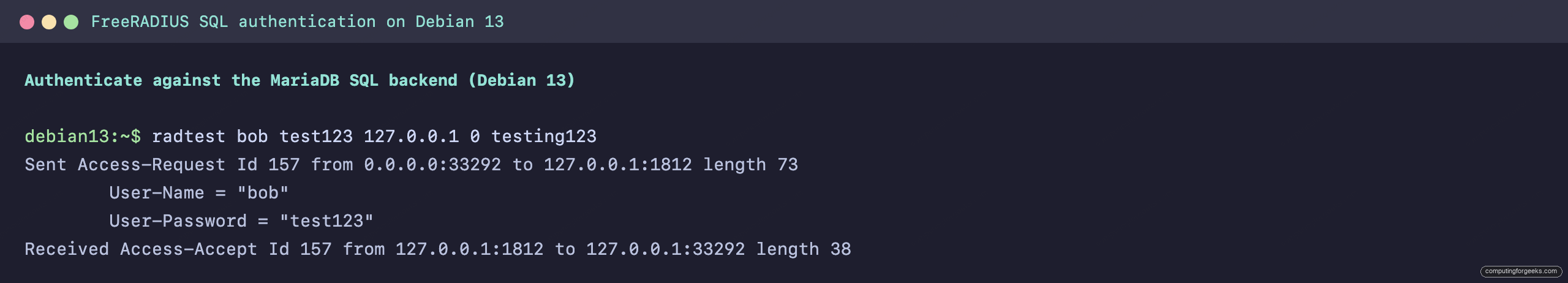 radtest returning Access-Accept against the FreeRADIUS SQL backend on Debian 13