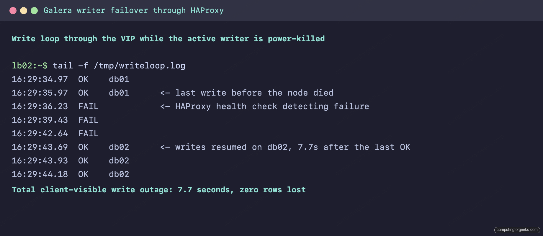 Galera writer failover drill through HAProxy showing 7.7 second write gap