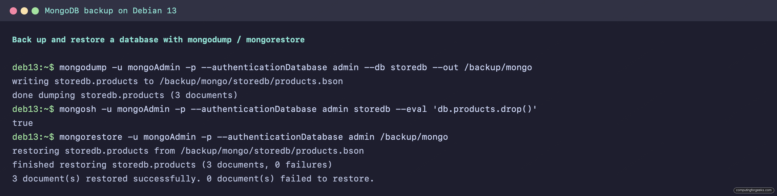 Install MongoDB on Debian 13 / 12 4 mongodump and mongorestore backing up a MongoDB database on Debian