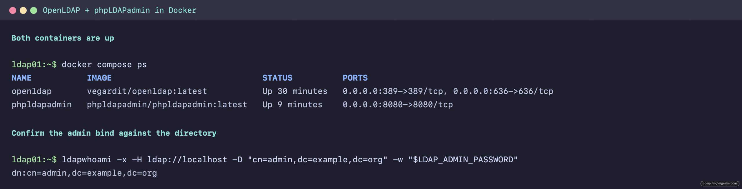 docker compose ps showing OpenLDAP and phpLDAPadmin containers running