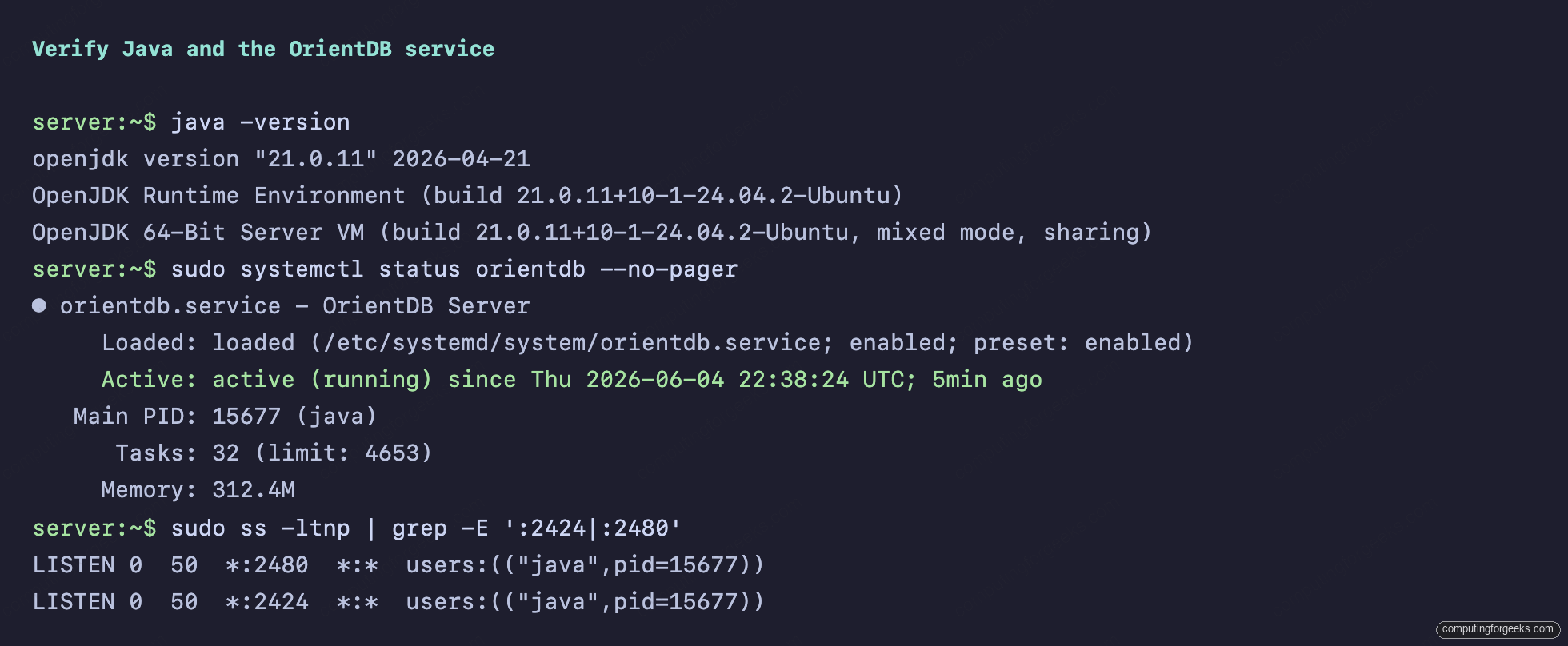 OrientDB systemd service active on Ubuntu with Java 21 and ports 2424 and 2480 listening