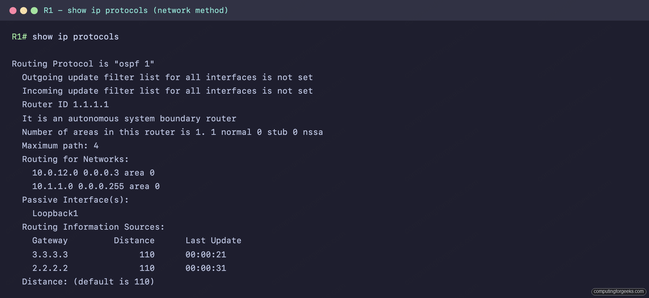 R1 show ip protocols showing OSPF router ID, advertised networks, passive interface, and ASBR