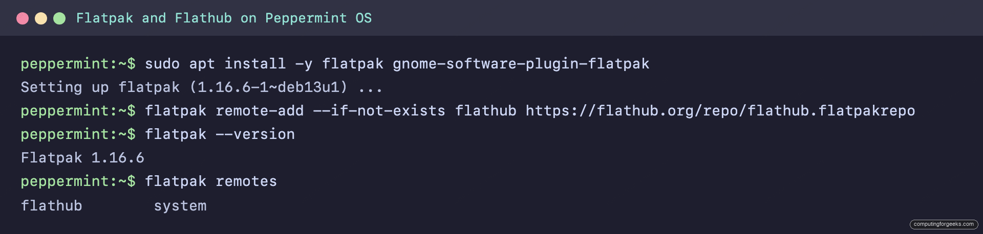 12 Things to Do After Installing Peppermint OS 2 Flatpak and Flathub configured on Peppermint OS