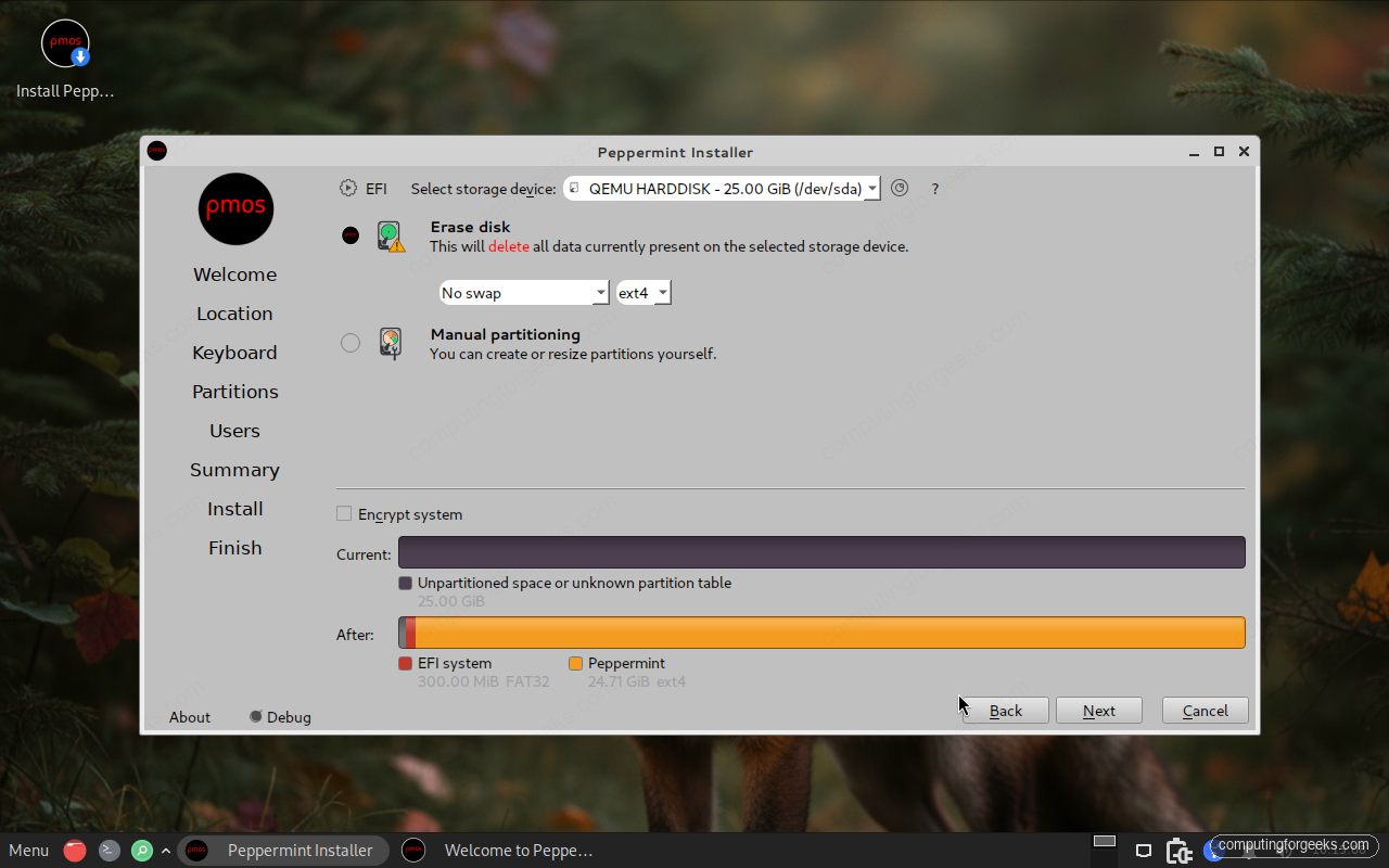 How to Install Peppermint OS Step-by-Step (With Screenshots) 5 Peppermint OS installer erase disk and manual partitioning options