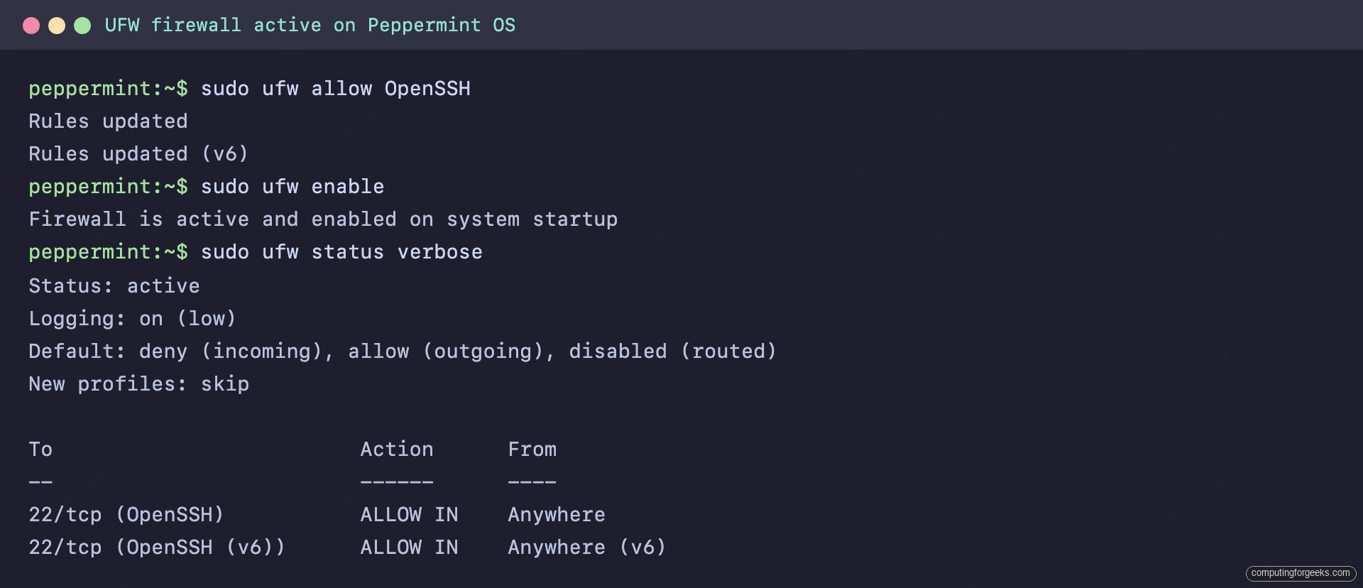 12 Things to Do After Installing Peppermint OS 4 UFW firewall active on Peppermint OS