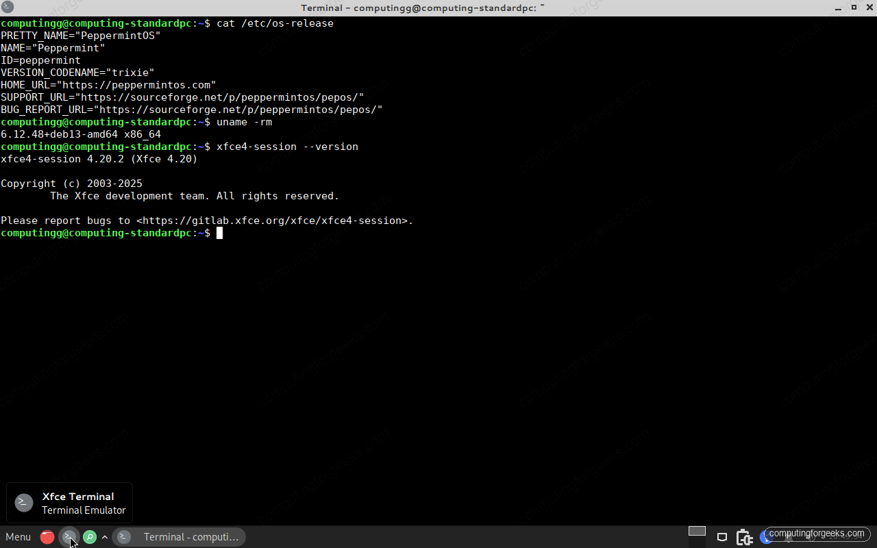 How to Install Peppermint OS Step-by-Step (With Screenshots) 11 Peppermint OS version confirmed in terminal showing os-release kernel and Xfce 4.20