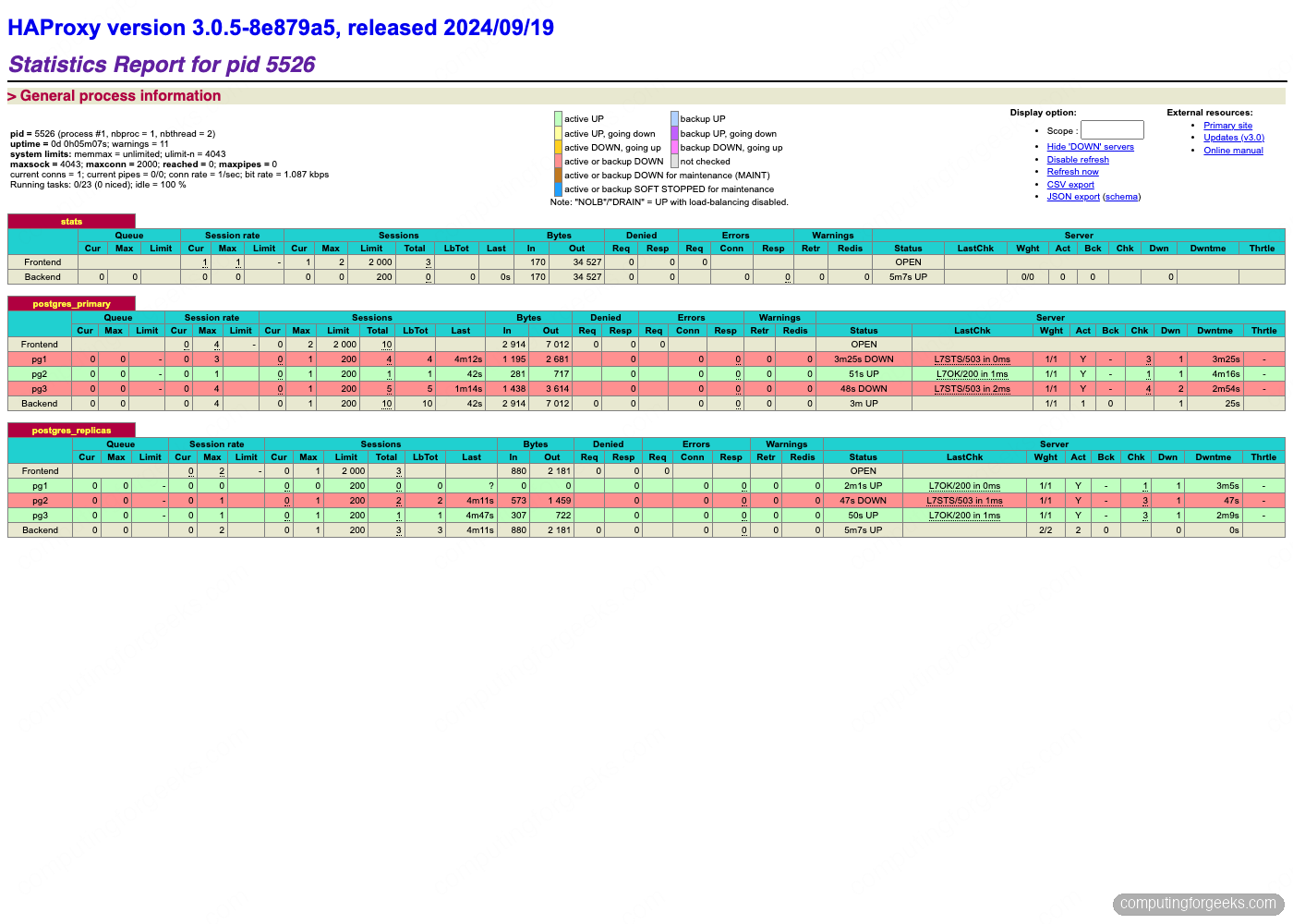 Set Up PostgreSQL High Availability with Patroni and HAProxy 2 HAProxy statistics page showing the PostgreSQL primary UP in the writes pool and the standbys UP in the reads pool, with role-based health checks