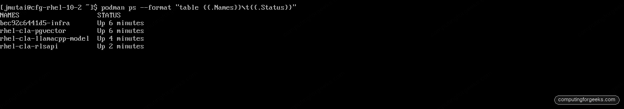 RHEL offline command-line assistant pod with the llamacpp model server and rlsapi running locally via podman