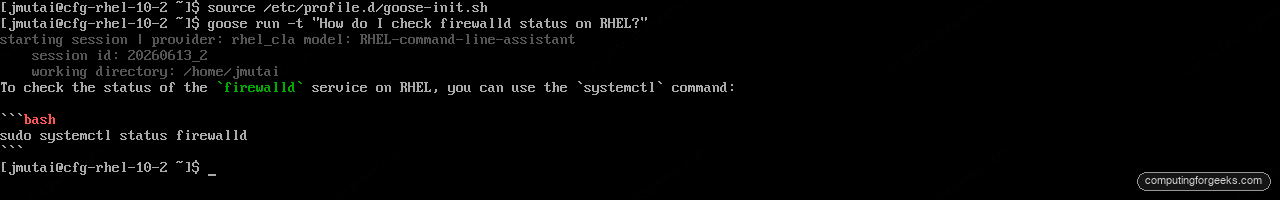 goose run one-shot on RHEL 10.2 using the rhel_cla RHEL command-line assistant provider