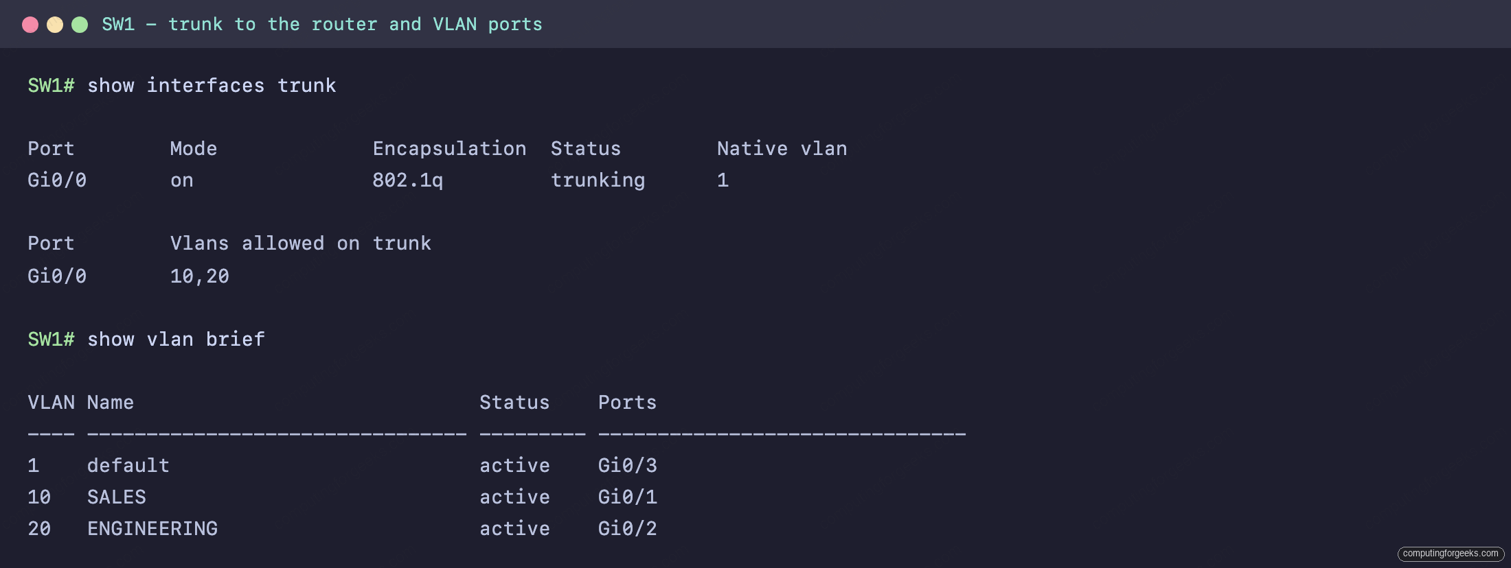 SW1 show interfaces trunk carrying VLANs 10 and 20 and show vlan brief with access ports