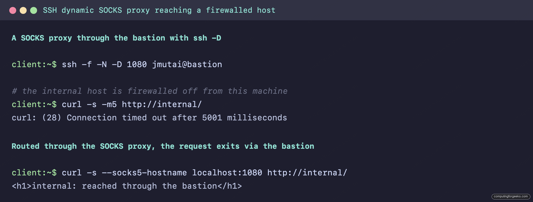 SSH dynamic SOCKS proxy with ssh -D reaching a firewalled host on Linux