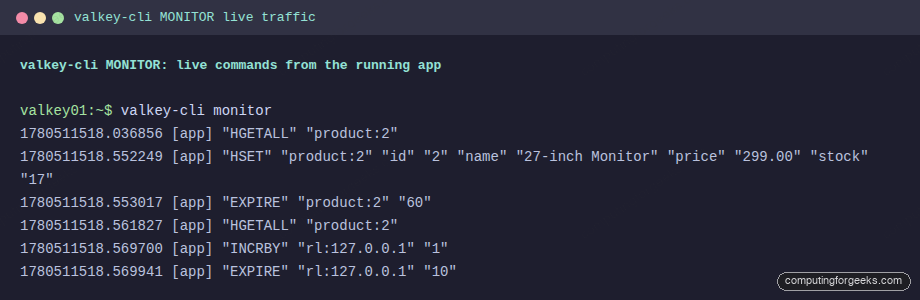 valkey-cli MONITOR showing live HSET EXPIRE and INCRBY commands from the app