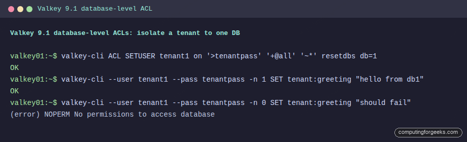 Valkey 9.1 database-level ACL denying a tenant access to database 0