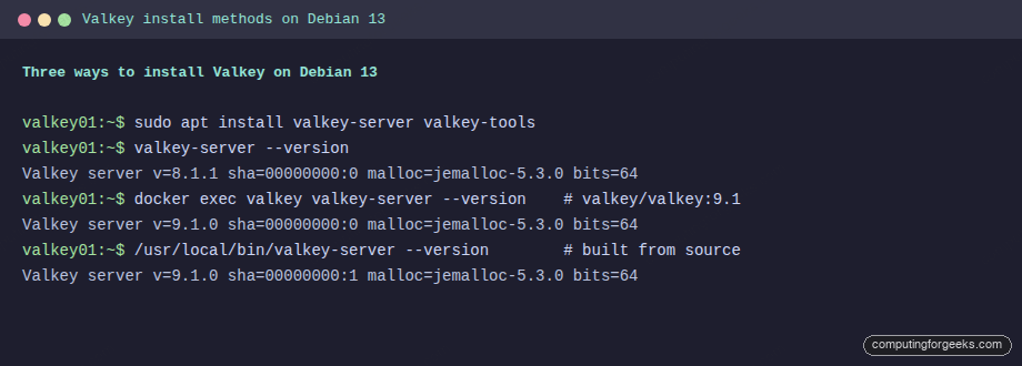 apt, Docker and source-built Valkey versions on Debian 13 trixie