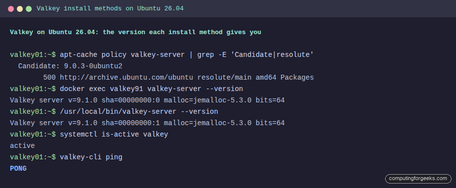 apt, Docker and source-built Valkey version comparison on Ubuntu 26.04