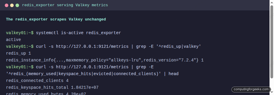 redis_exporter serving Valkey metrics including redis_up and memory on Ubuntu 26.04