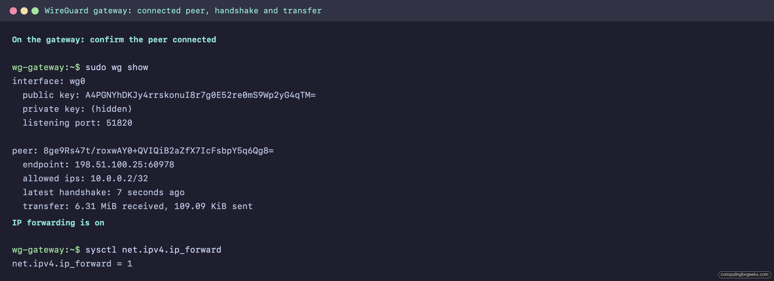 Self-Hosted WireGuard Gateway on a GL.iNet Brume 2 1 wg show on the WireGuard gateway showing a connected peer, latest handshake, and transfer counters with IP forwarding enabled