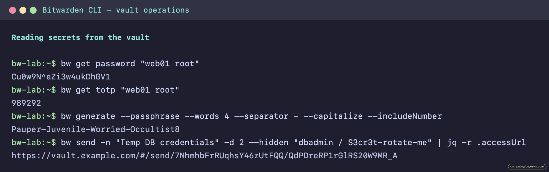 How to Use Bitwarden CLI (bw) with Practical Examples 3 Bitwarden CLI get password, get totp, generate passphrase and send commands with output