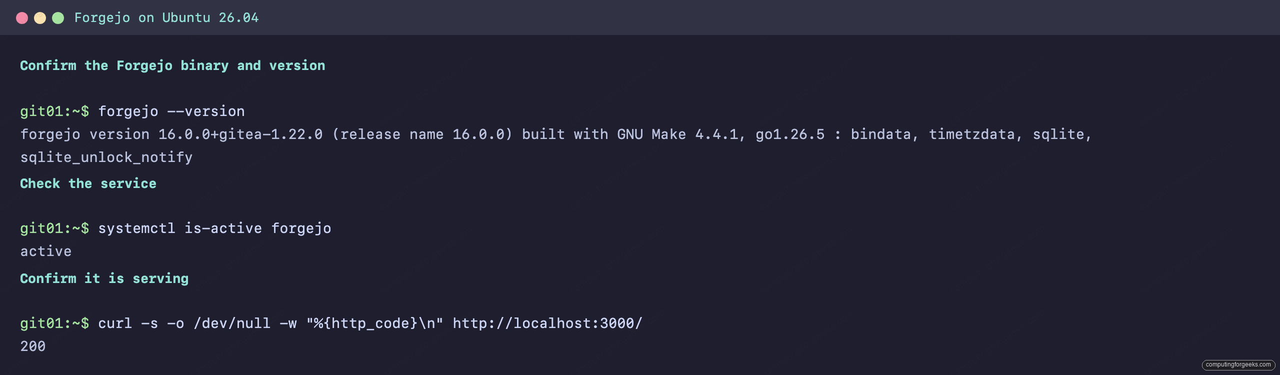 Install Forgejo and Set Up CI with Forgejo Actions 1 Terminal showing the Forgejo version, active systemd service, and HTTP 200 on port 3000