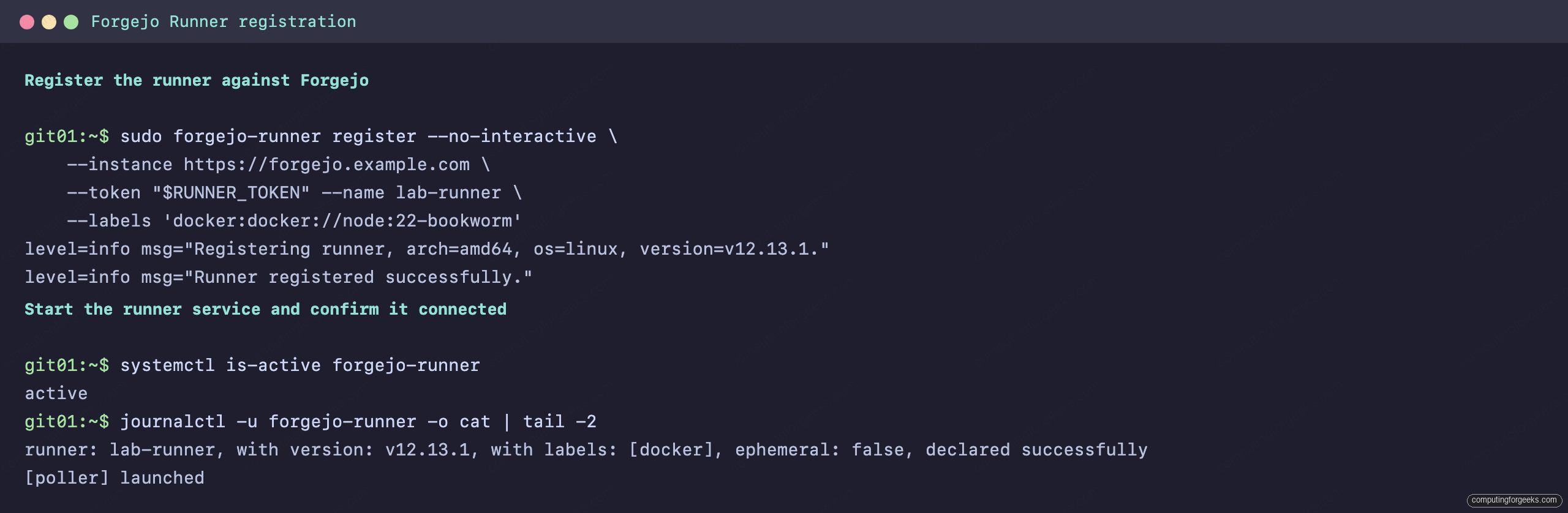 Install Forgejo and Set Up CI with Forgejo Actions 4 Terminal showing forgejo-runner registered successfully and the runner daemon connected