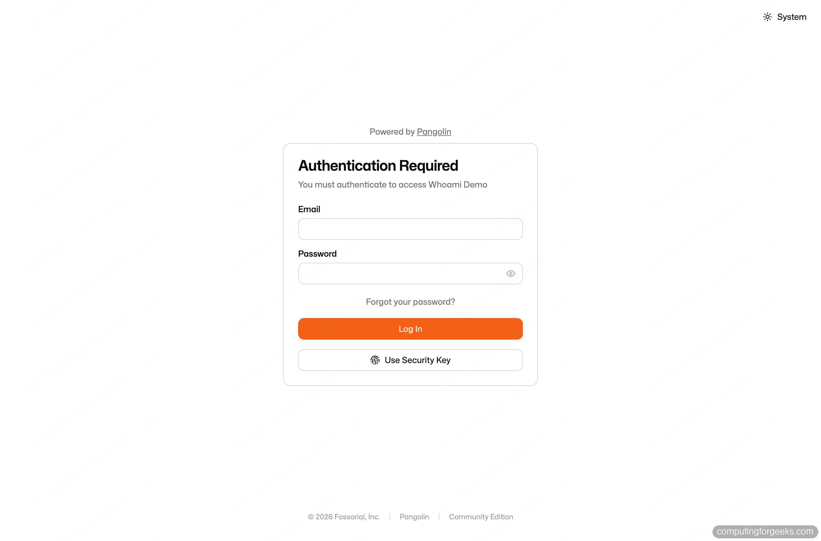 Install Pangolin: Self-Hosted Reverse Proxy With Secure Tunnels 4 Pangolin resource access authentication gate protecting a public resource with SSO login