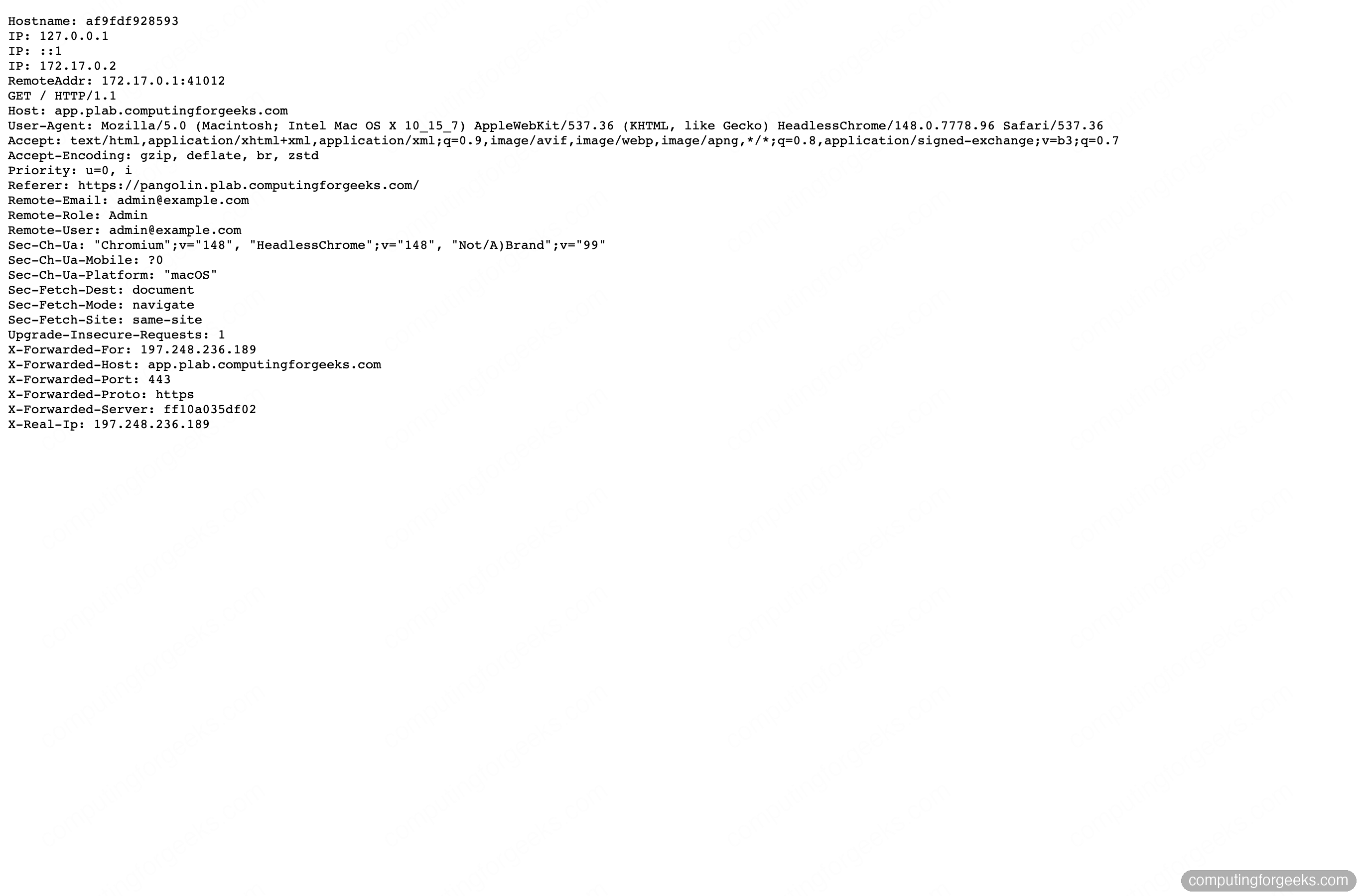 Install Pangolin: Self-Hosted Reverse Proxy With Secure Tunnels 5 Homelab whoami service served over HTTPS through the Pangolin WireGuard tunnel