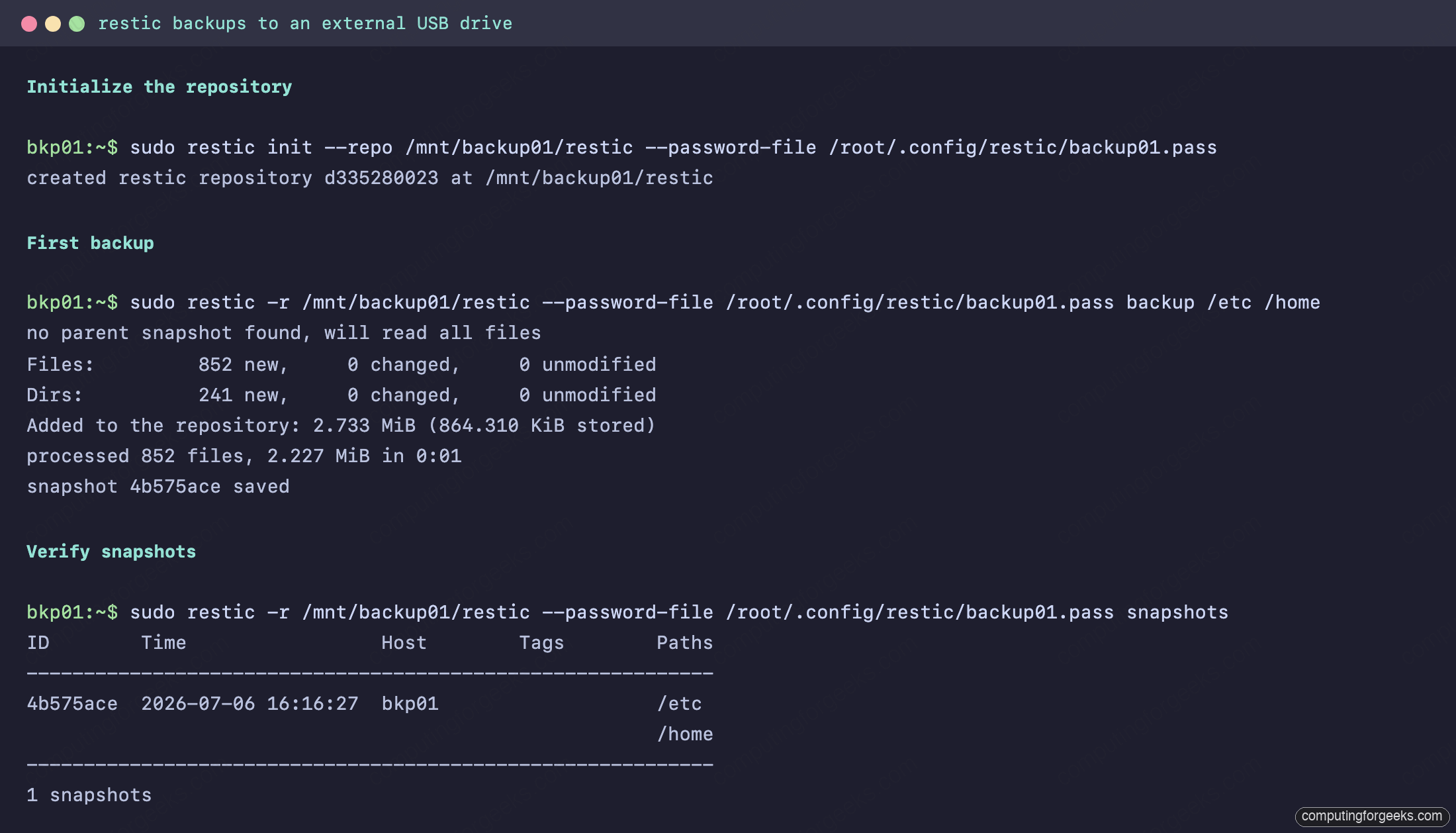 restic repository init, first backup and snapshot list on an external USB drive